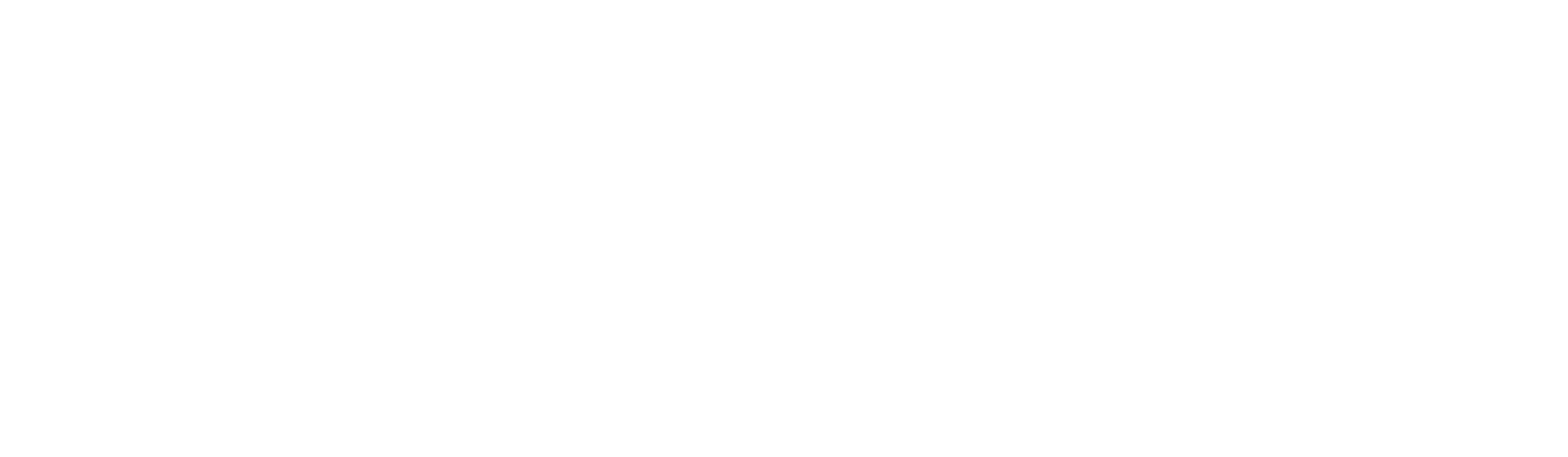 global logo